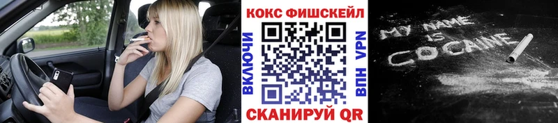 где купить наркоту  Волосово  shop состав  Cocaine Эквадор 