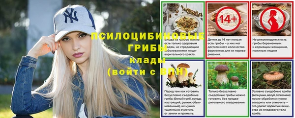 амф Богородицк