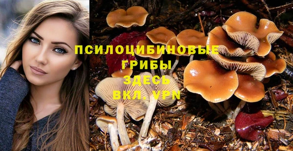 амф Богородицк