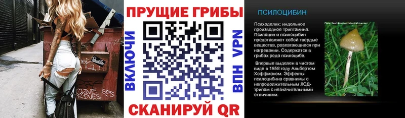 hydra ссылки  Волосово  Псилоцибиновые грибы MAGIC MUSHROOMS  купить  